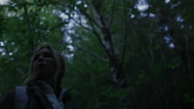 [Mireya] It was a howl coming from the ridge line