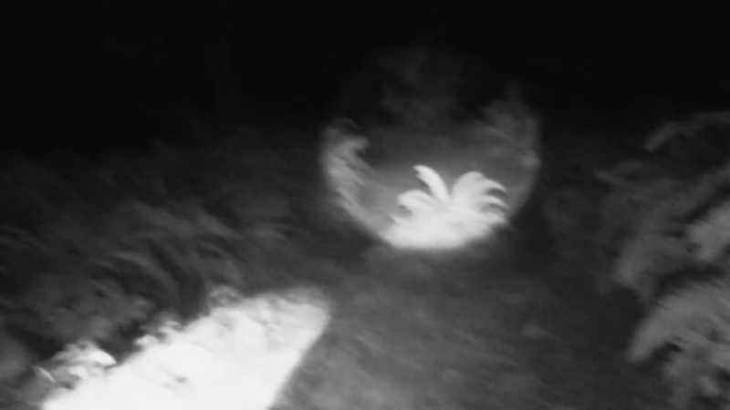 [Mireya] Seriously, this is like walking through a dark tunnel