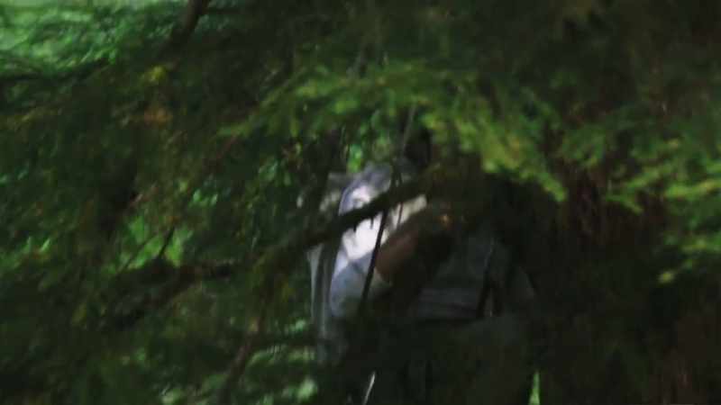 [Mireya] So, Ronny and I decided to set up some trail cams to see