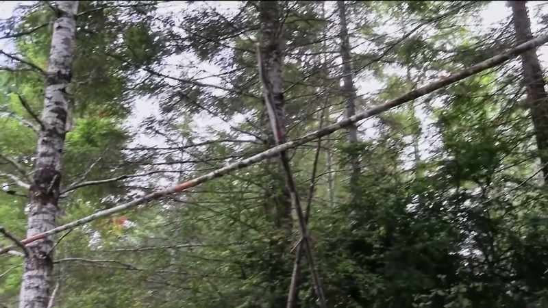 [Mireya] That structure was right next to Lake Fear