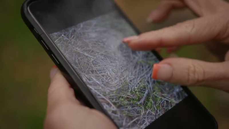 [Mireya] The photographs tha this logger had were something that