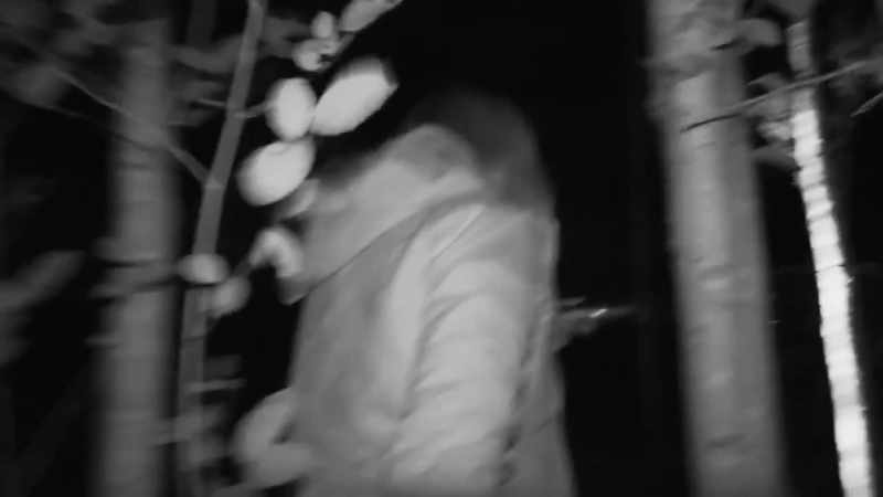 [Mireya] There's something moving right behind you