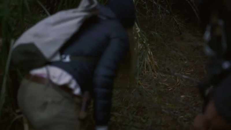 [Mireya] Yeah and you can see where all this vegetation has been broken