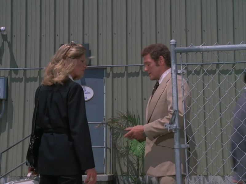 MISS GLYNIS MARTIN? -YES