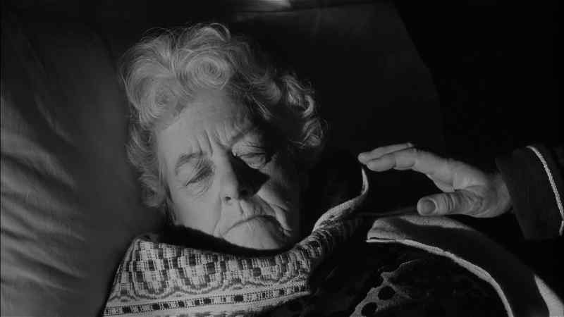 Miss Marple, are you awake?