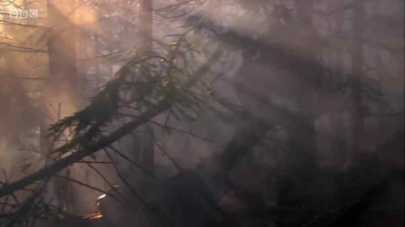 Mitchell was going to go down in a blaze of gunfire and glory