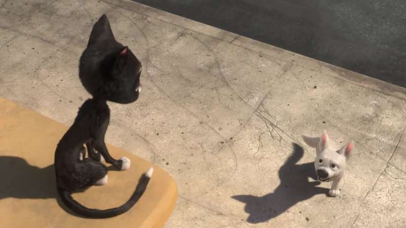 Mittens What are you doing here