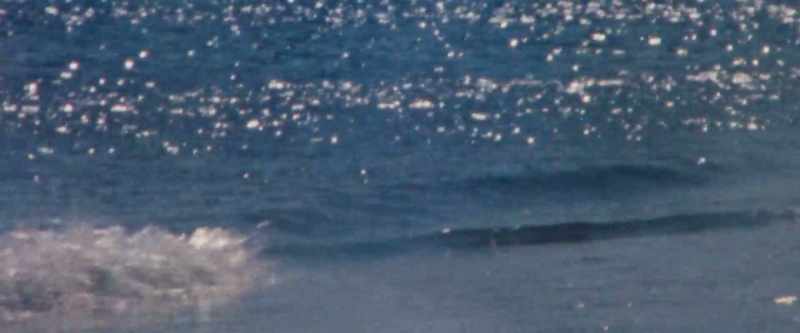 Mm-hmm. -That salty ocean smell