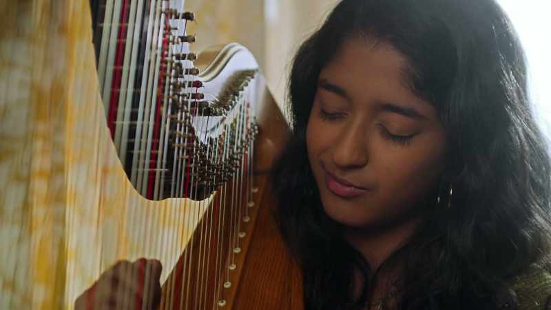 [Mohan] See, this is an instrument for a real musician