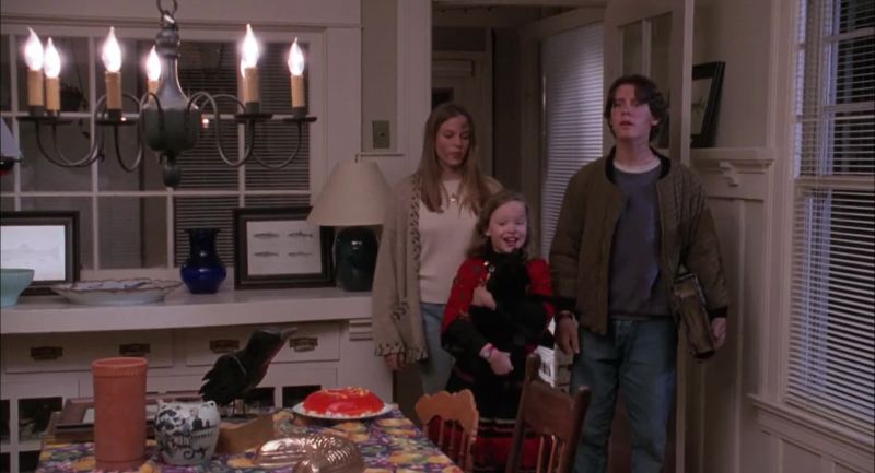 Mom? Dad? We got a new cat! Mom? Well, I guess they're still partying. Come on in