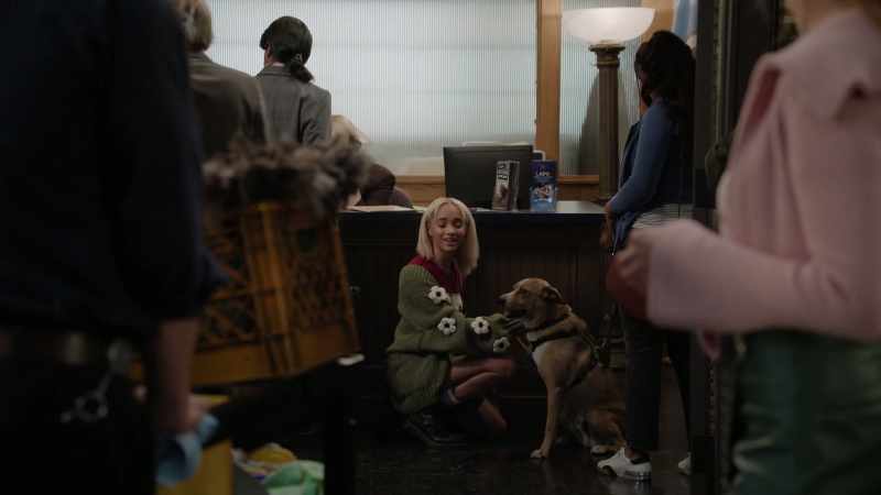 Mom, we have to get a dog. - [Morgan] No