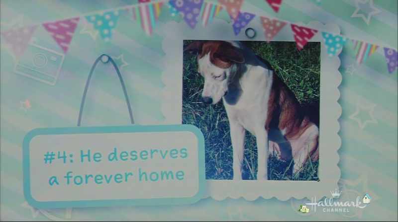 Mom, please? Please can we get this dog?