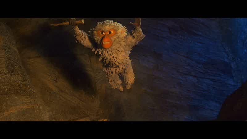 Monkey, wait