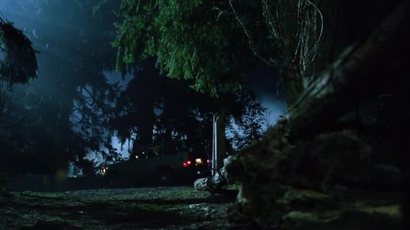 MONROE: What are you doing?