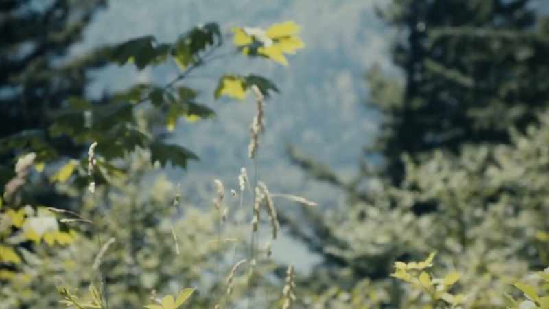 MONTY BEUTTNER: So at our request
