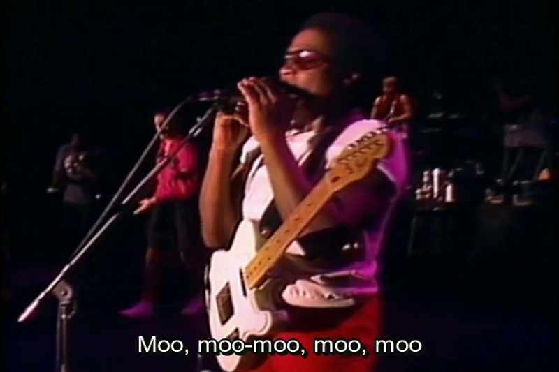 Moo, moo-moo, moo, moo