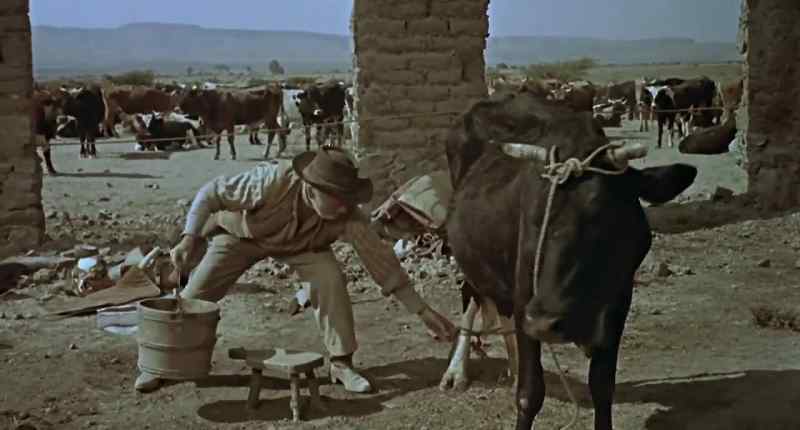 (MOOING)