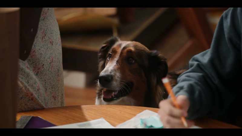 More fun, less work