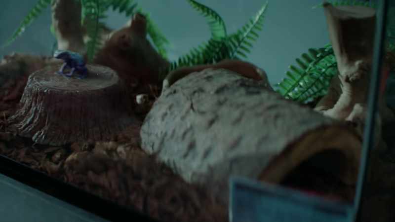 More importantly, Wilma'’s poisonous buddy