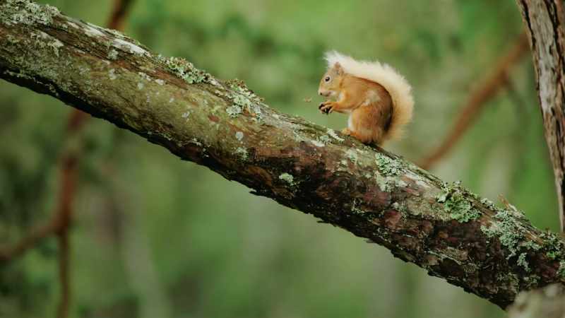 More than 5,000 species have been recorded here