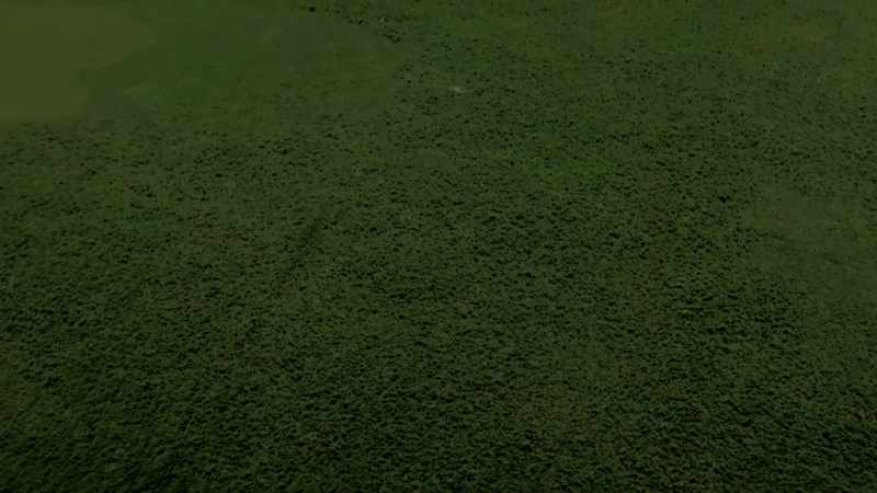 More than 60,000 ancient structures have been identified