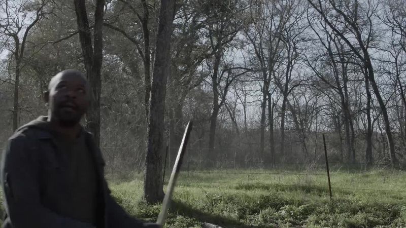 Morgan, do you see it?