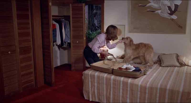 Mortimer, what are you doing?