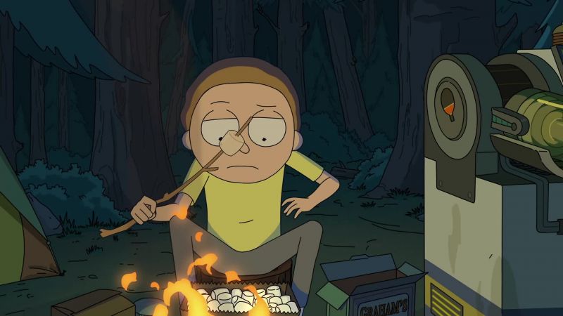 Morty, what's happening here?