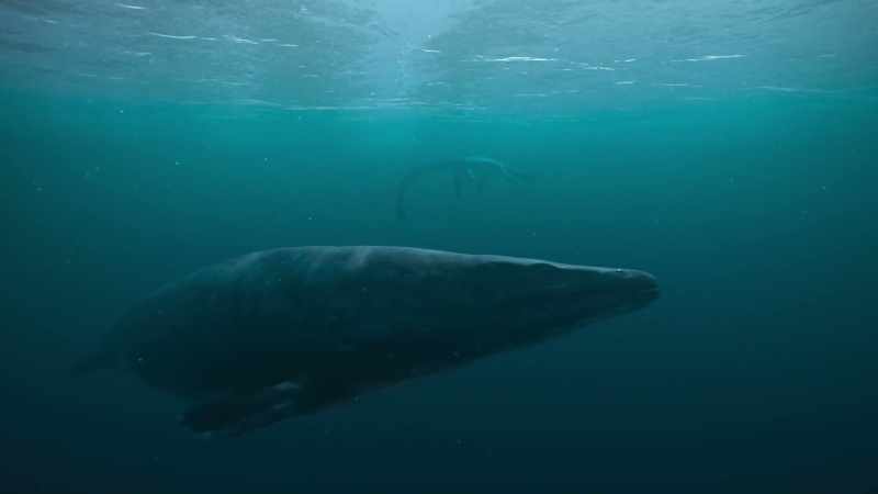 Mosasaurus can strike their prey with such force