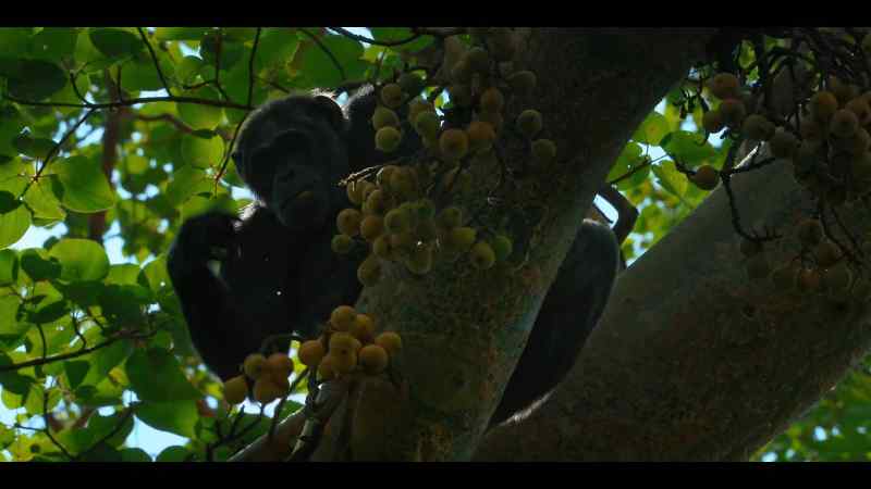 Most of the group are happily feeding