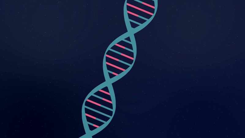 >> Most people have been programmed with a belief about