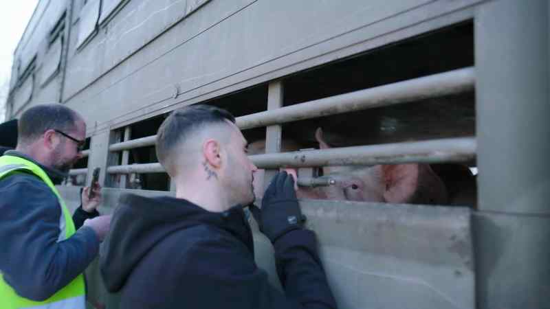 Most people have never been inside a factory farm