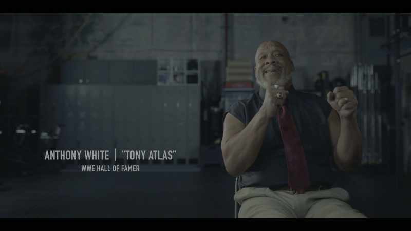 Most wrestlers that worked for Vince came from somewhere else