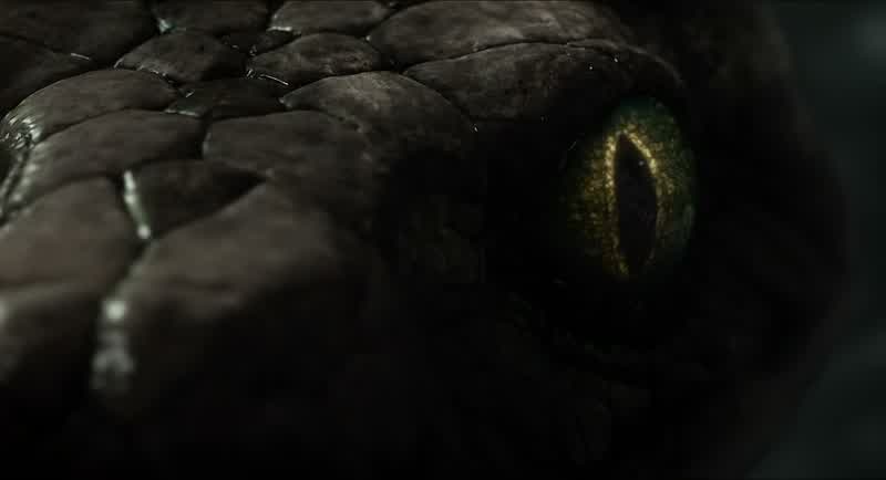 Mostly men stay in their villagefar from the dark of the JungleBut sometimesthey travelAnd when they dotheir caves breathe in the darkThey call itthe Red FlowerMan's creationIt brings warmth and