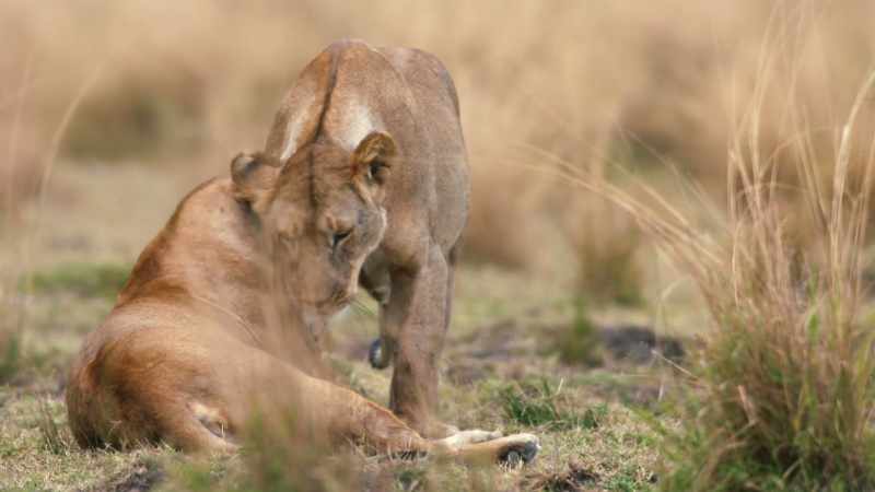 Mother and daughter are starting to develop their partnership