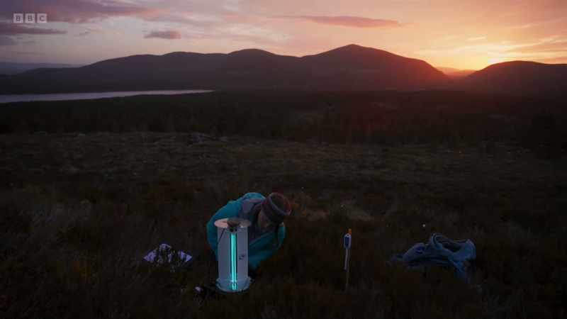 Moths, and invertebrates generally, are really good indicator species