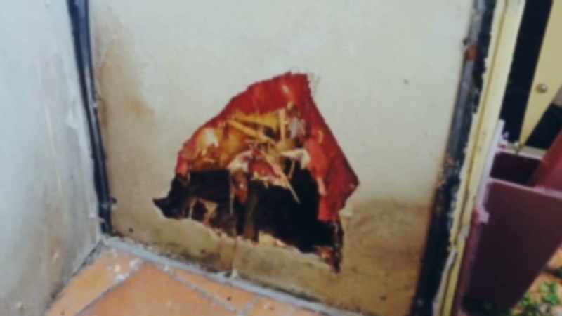 MOTWANI: We don't know how much timber has