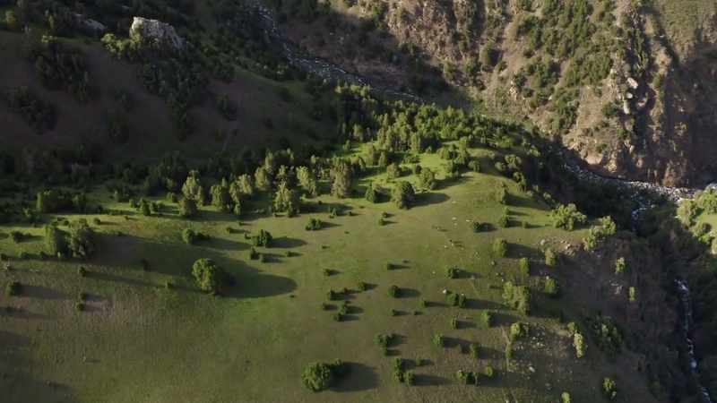 Mountain experience is