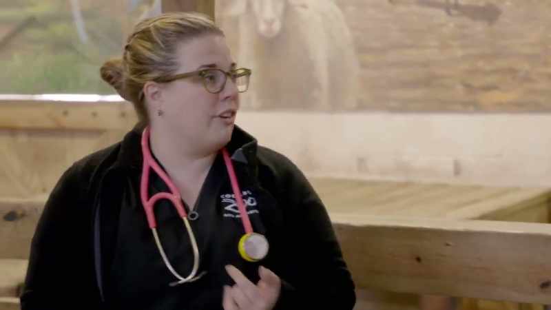 Move to avery, who'll do vaccines, cydectin