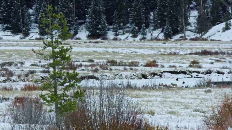 Moving through heavy snow