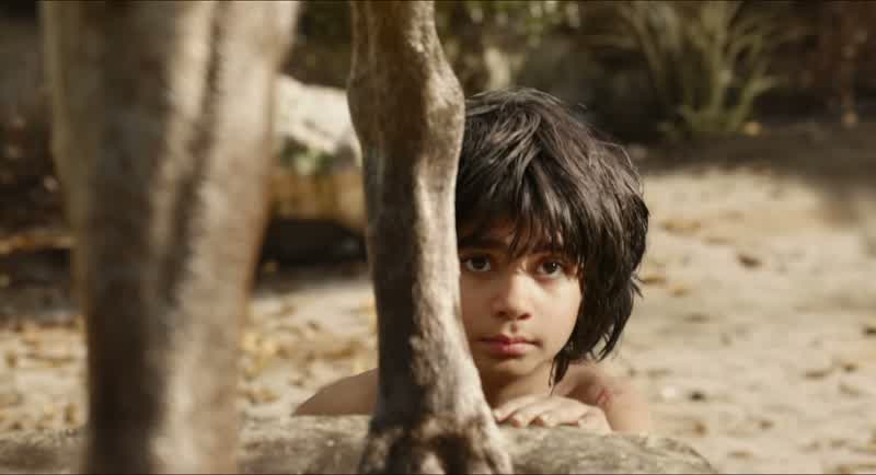 Mowgli belongs to my Pack Shere KhanMowgliThey've given it a nameWhen was it we came to adopt man into the JungleHe's just a cubDoes my face not remind you of what a grown man can do