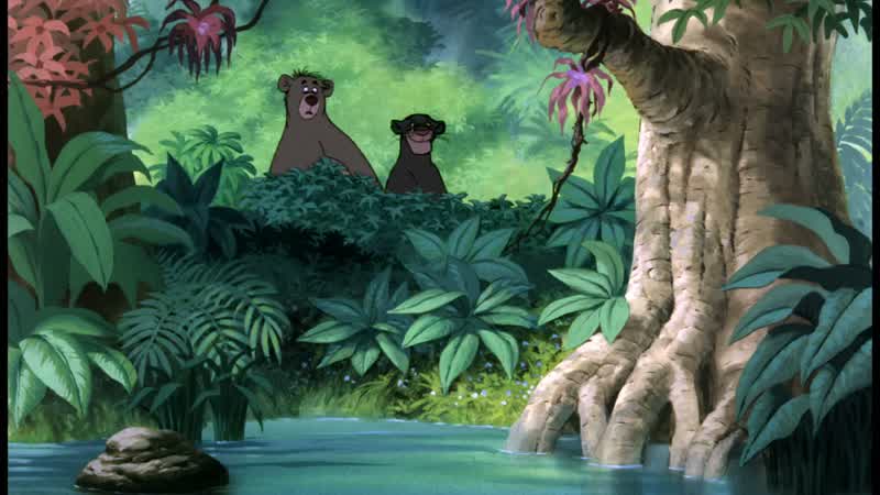 Mowgli, come back