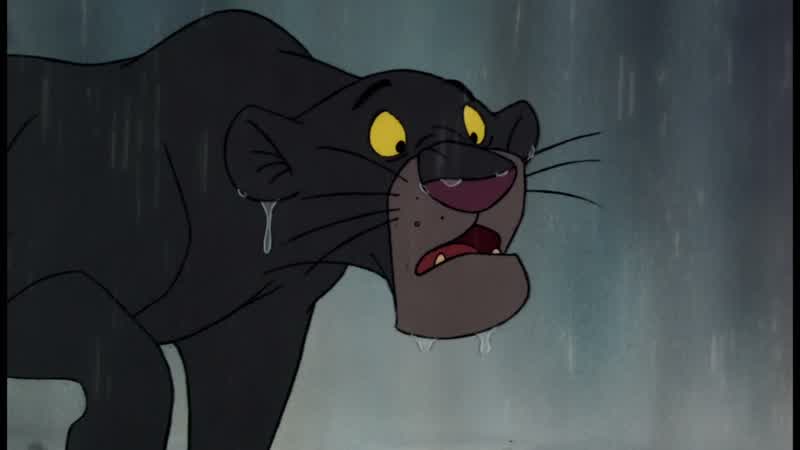Mowgli, try to understand