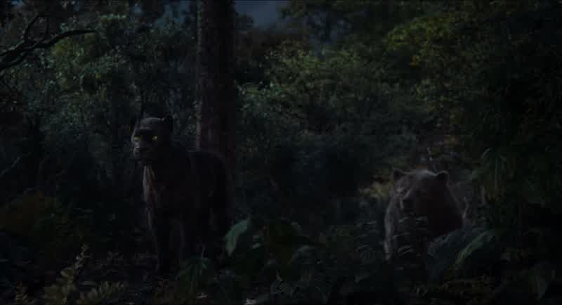 Where is he?