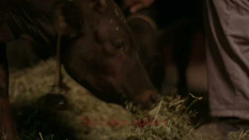 Mr. Angus, you're looking awfully handsome tonight