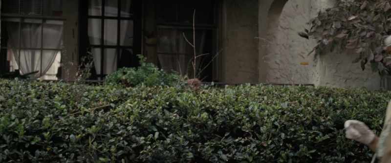 Mr. Barker was very clear about your lease when he sold me the building
