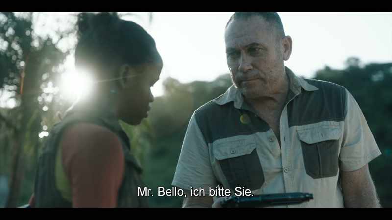 Mr. Bello, I beg you