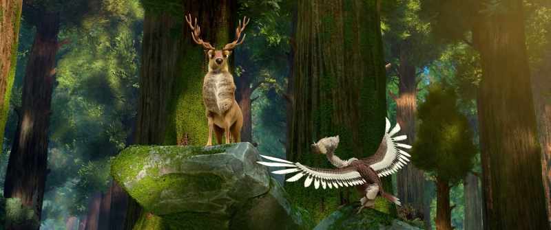 Mr. Chairman is here to confirm that in our forest