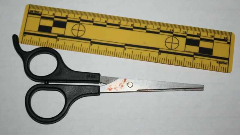 Mr. Lamb used the scissors on nixon