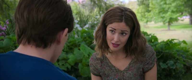 Mr. McGregor, are you accusing me of taradiddling?
